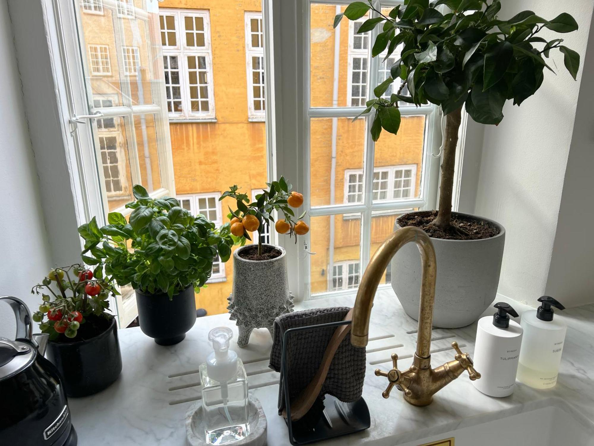 Luxury 'Kings Garden View' 260M2 Prime Located Flat Apartamento Copenhaga Exterior foto